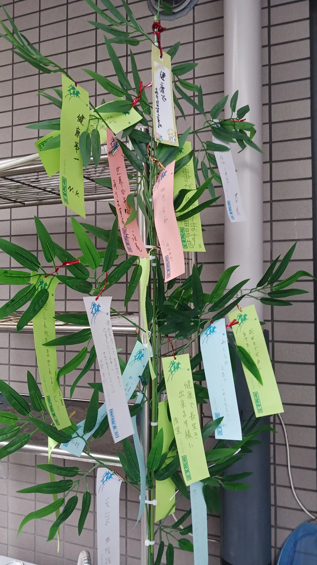【さらら作業所 七夕の日 】